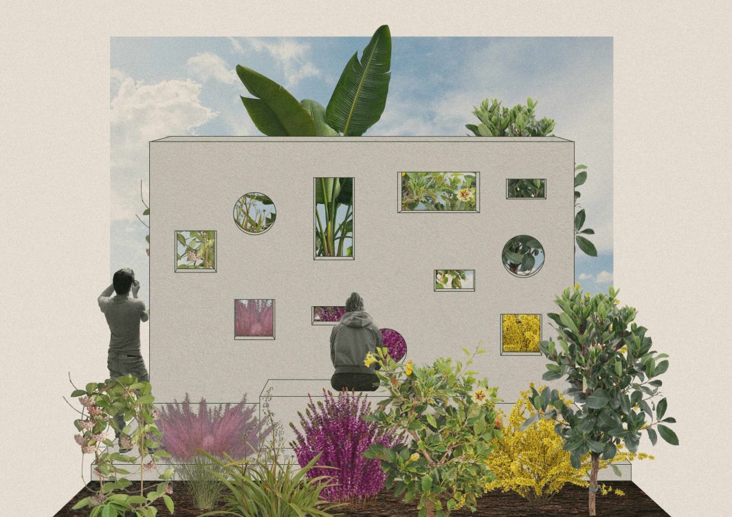 Virginia Boncoraglio project